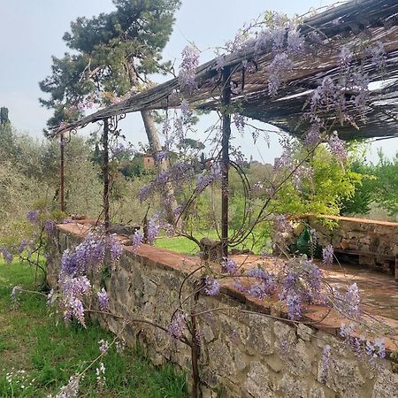 Casa Ezio Marchi - Due Appartamenti E Una Family Suite Bettolle Exterior photo
